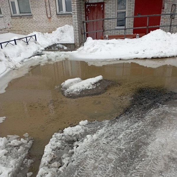 Источник: Транспортный КОЛЛАПС, Красное Село. Новости и события / Телеграм