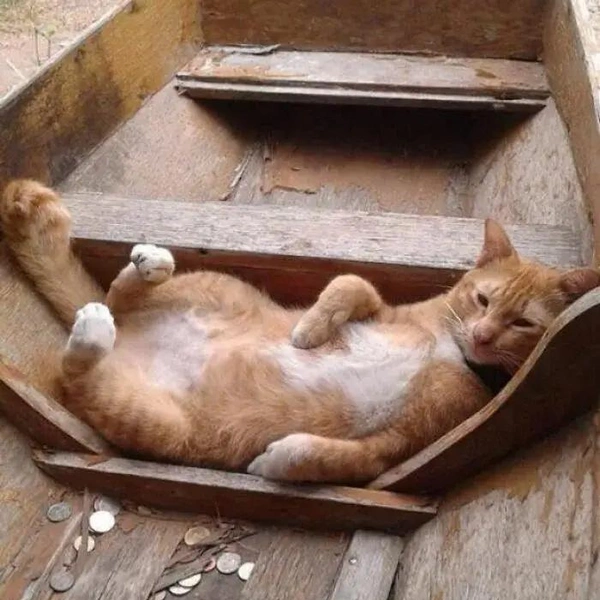 Источник: соцсети