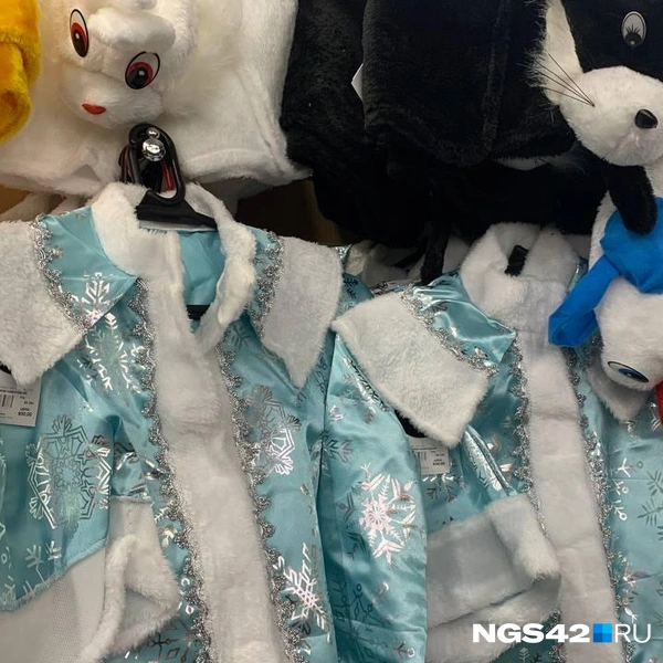 Источник: Татьяна Ирискина / NGS42.RU