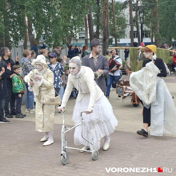 Источник: Алёна Воропаева / Voronezh1.ru