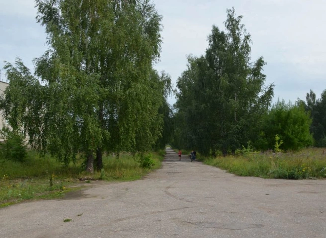 Малков потребовал приостановить продажу лесопарковой зоны в Агропроме | ya62.ru