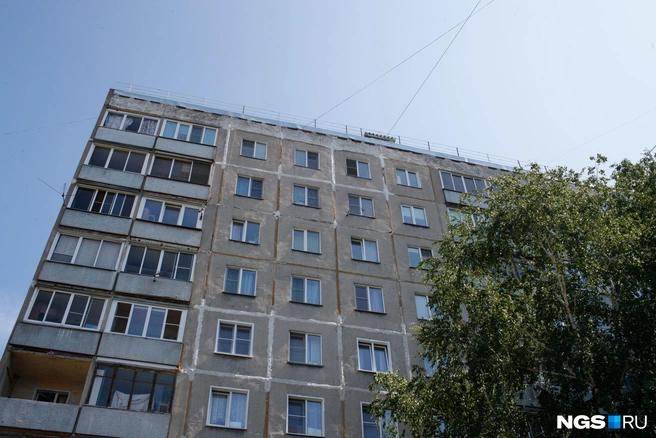 Стрелок опасен в первую очередь для владельцев собак, убеждены жители дома | Источник: Андрей Бортко / NGS.RU