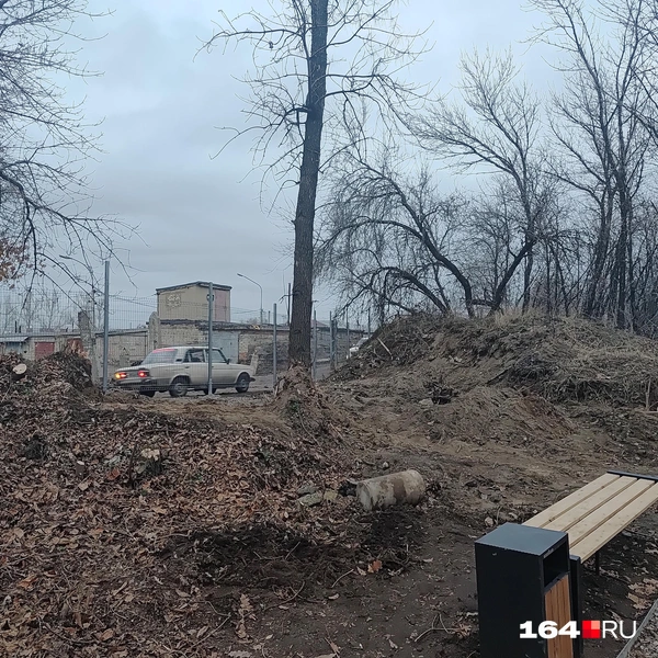 Источник: Сергей Гендин / 164.RU