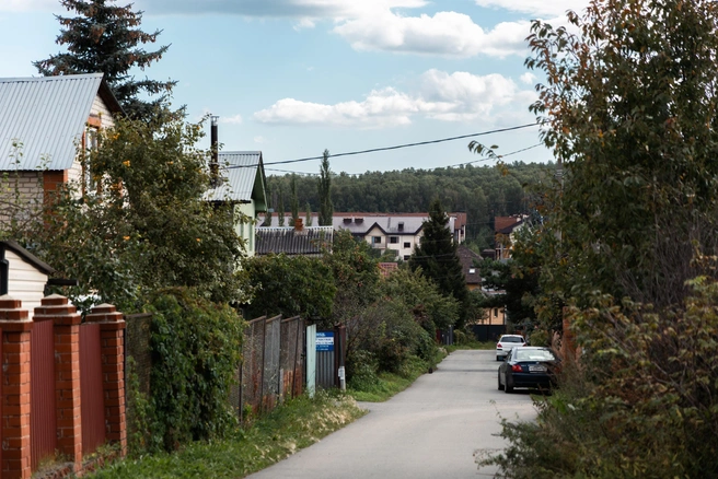 Сам СНТ «Петушок» постепенно превращается в загородный поселок, и лес за забором для жителей&nbsp;— удачное соседство | Источник: Наталья Лапцевич