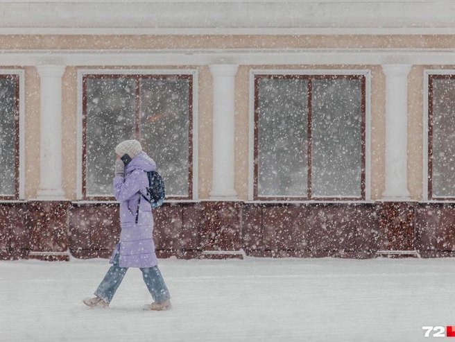 Временами ожидаются осадки в виде снега и мокрого снега. | Источник: Ирина Шарова / 72.RU