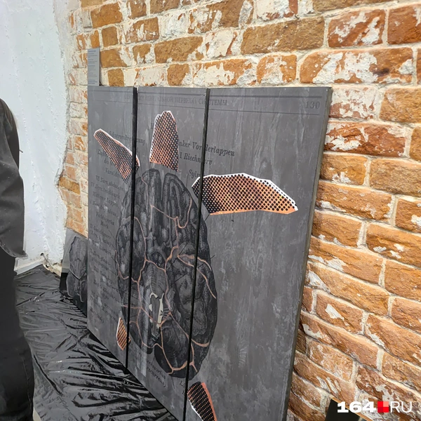 Источник: Сергей Гендин / 164.RU