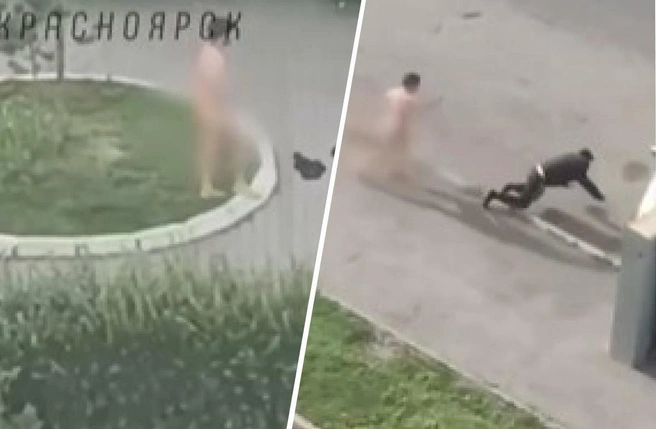 Герои видео успели обменяться парой ударов  | Источник: «112 Красноярск» / Telegram