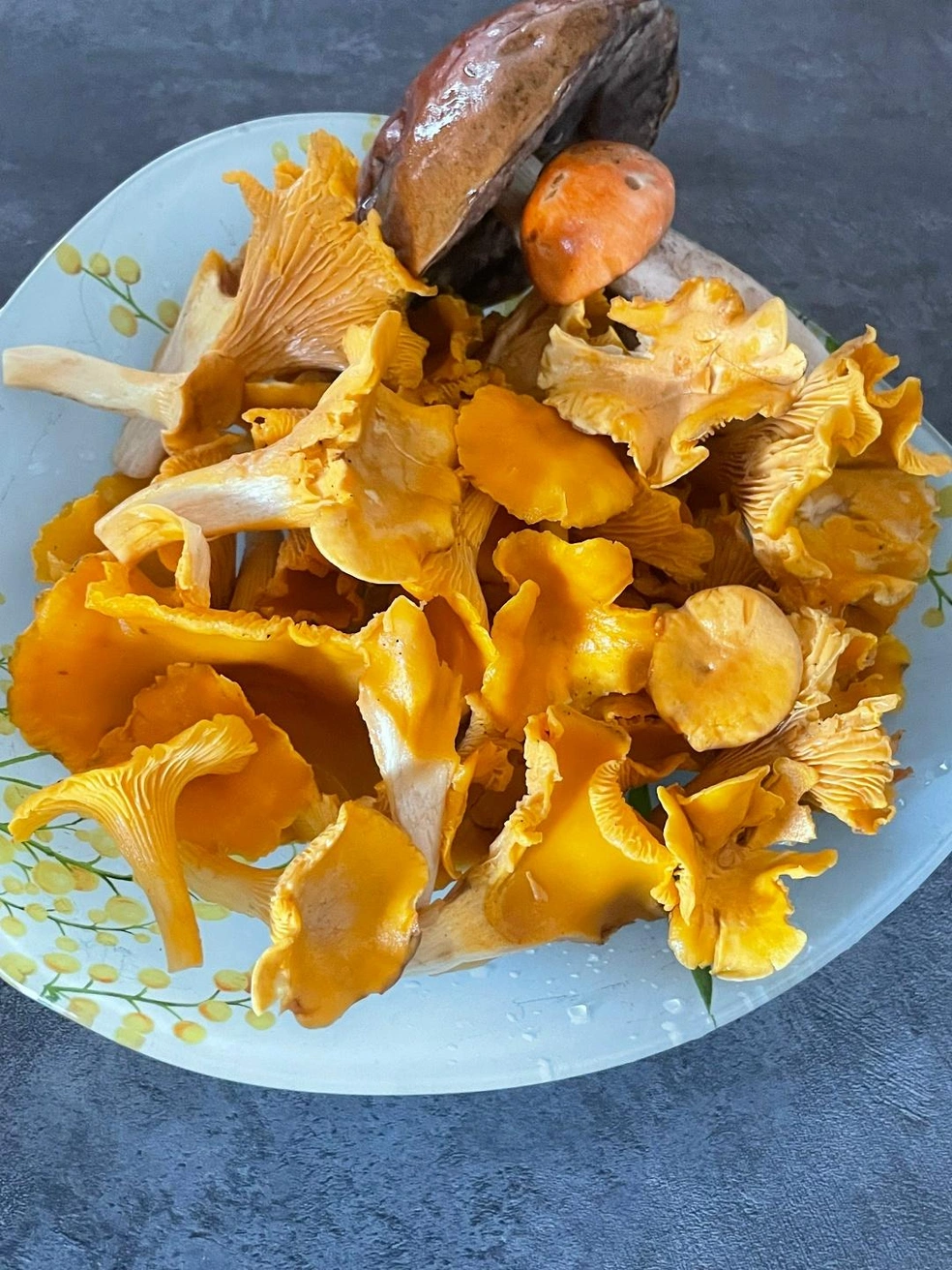 Источник: Михаил Паньков / «Грибы и грибники Екатеринбурга и Свердловской области» / Vk.com