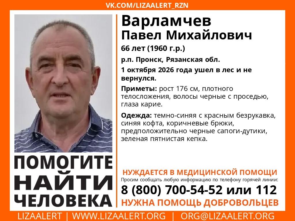 В Пронском районе пропал ушедший в лес 66-летний мужчина