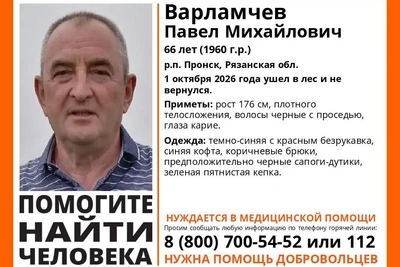 Под Рязанью пропал ушедший в лес мужчина