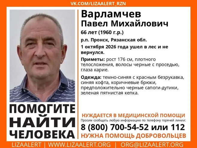 Житель Пронска ушел в лес и не вернулся | Источник: Поисковый отряд «ЛизаАлерт» Рязанской области