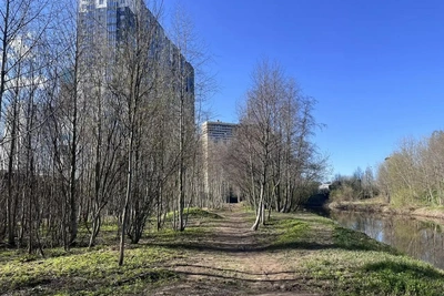 В парке на Евгения Шварца появится новое пространство