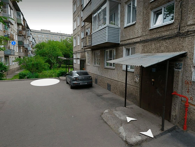 Примерное место обнаружения зараженного животного | Источник: yandex.ru/maps