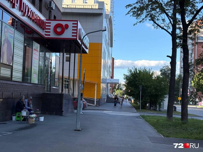 Торговать дачным урожаем в Тюмени сейчас можно только на точках «Продаем свое». Они есть и на Республики, и на Профсоюзной, и на Щербакова, и на Пермякова | Источник: Мария Токмакова / 72. RU