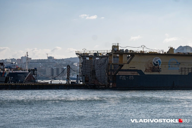 Источник: Елена Буйвол / VLADIVOSTOK1.RU