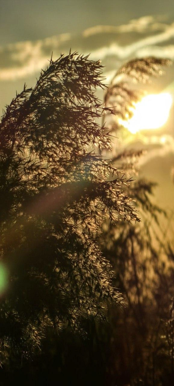 На закате… | Источник: Olza.Foto