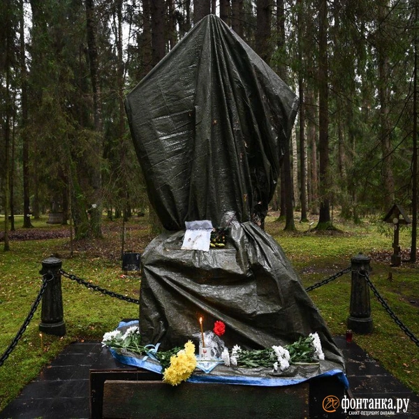 Источник: Андрей Бок / «Фонтанка.ру»