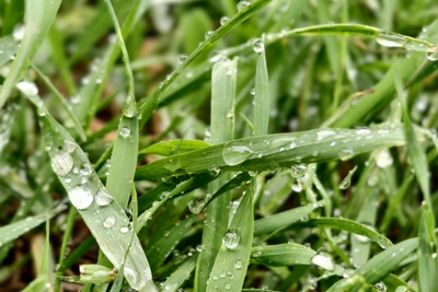 Прогноз погоды на 17 апреля в Тульской области