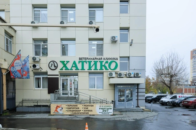 У «Хатико» есть все необходимое для успешного лечения питомцев | Источник: Денис Полуэктов