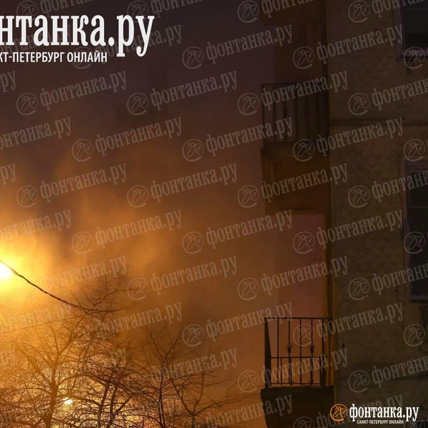 Источник: Дарья Драй / «Фонтанка.ру»