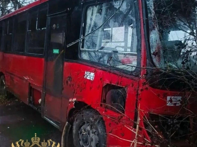 Под Волосово автобус съехал в кювет, есть пострадавший | Источник: прокуратура Ленинградской области