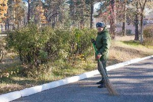 Источник: Ксения Зимина