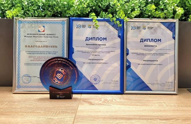 Исполком Федерации независимых профсоюзов России вручил АО «Новосибирскэнергосбыт» благодарность за активную и плодотворную работу по защите прав работников и за создание благоприятных и безопасных условий труда | Источник: АО «Новосибирскэнергосбыт»