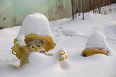 Экстренное предупреждение МЧС для рязанцев о похолодании