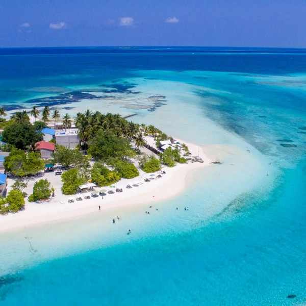 Источник: Evgeny Maydanyuk/Shutterstock/Fotodom.ru