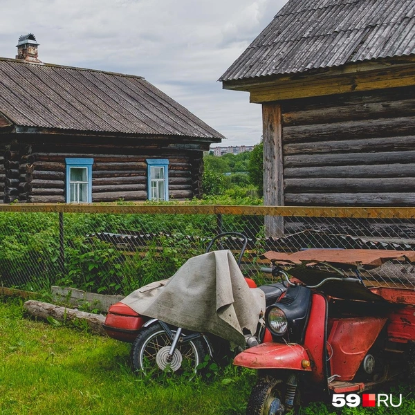 Источник: Тимофей Калмаков / 59.RU