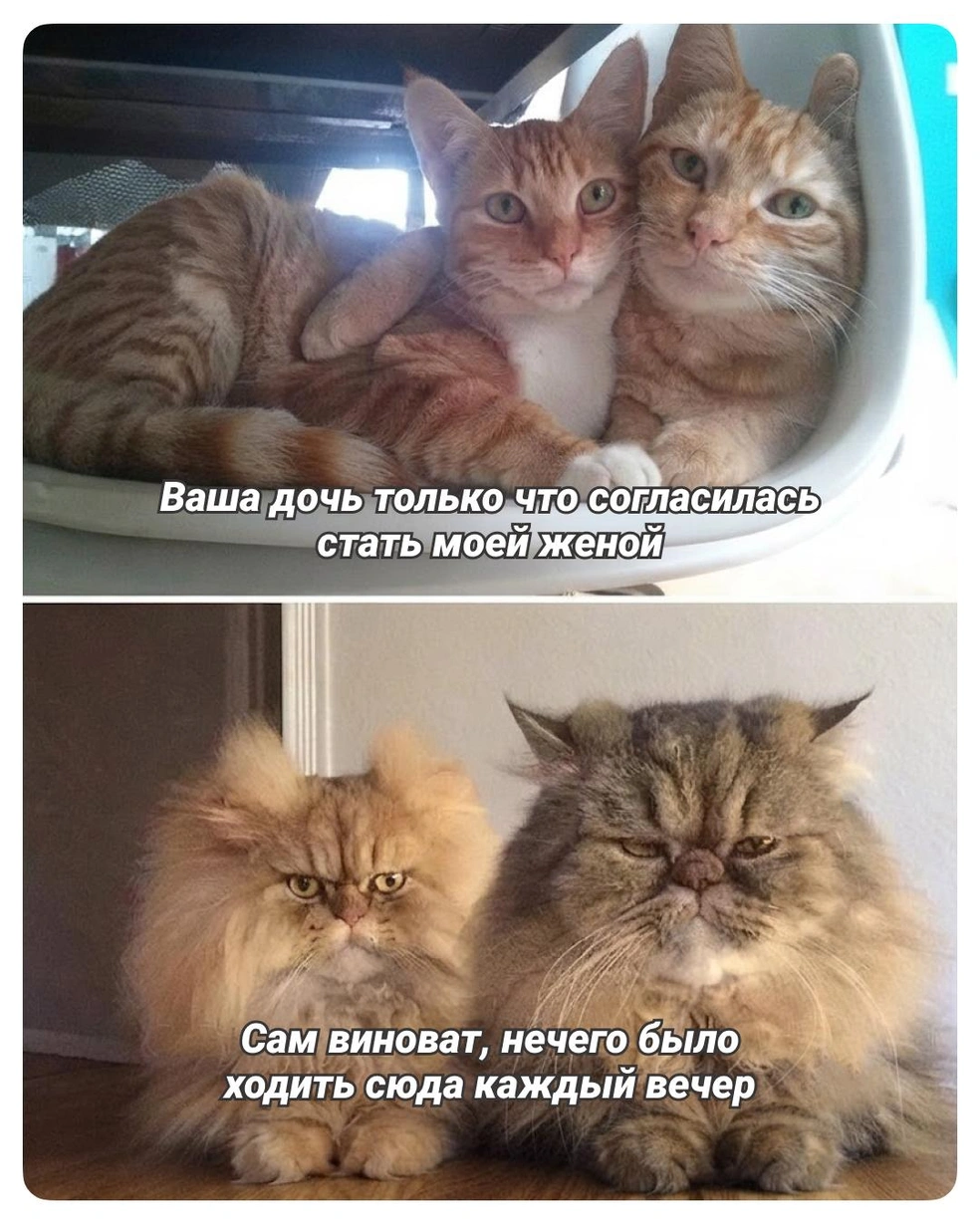 Родители явно что-то знают | Источник: Городские медиа