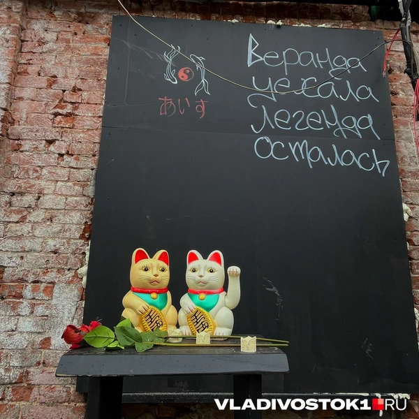 Источник: Елена Буйвол / VLADIVOSTOK1.RU