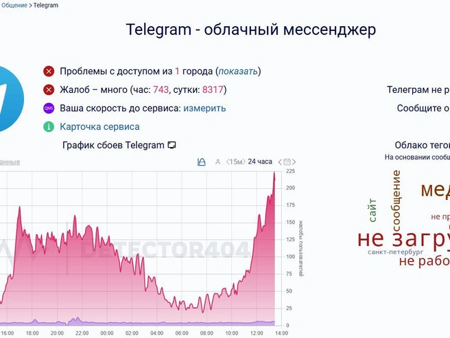 Замедление в работе приложения наблюдается в течение нескольких часов. | Источник: Downdetector