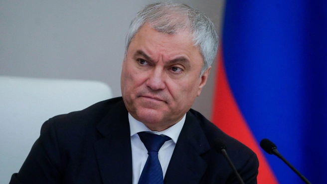 Госдума ратифицировала договор с Таиландом о выдаче разыскиваемых за преступления | Источник: Госдума РФ