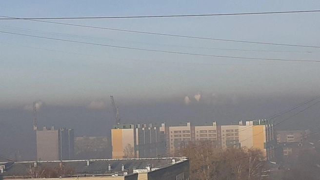 Источник: Надежда / Telegram 