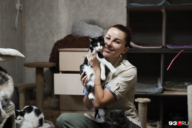 Наталья в окружении котов приюта | Источник: Дарья Паращенко / 93.RU