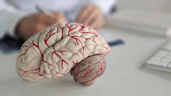 15 секунд, чтобы проверить здоровье мозга: опробуйте на себе результаты эксперимента ученых | Источник: NMK-Studio/Shutterstock/Fotodom.ru