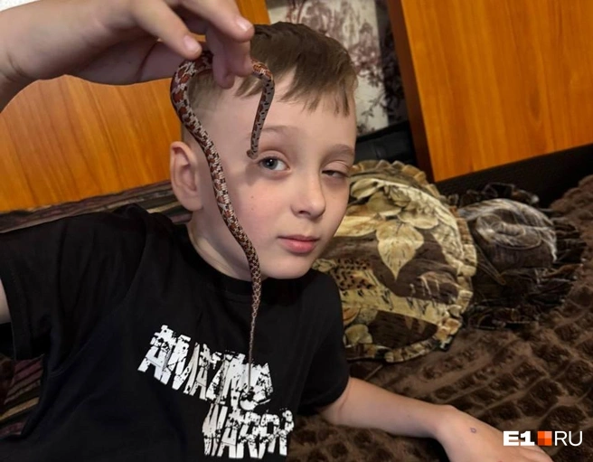 Лёве питомец сразу понравился | Источник: Елена Панкратьева / E1.RU
