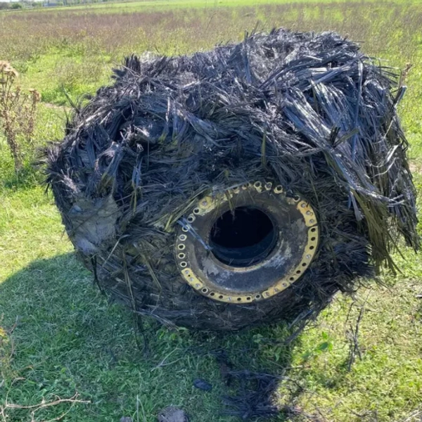 Источник: Jam Press