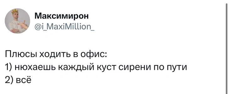 Источник: X (Twitter)