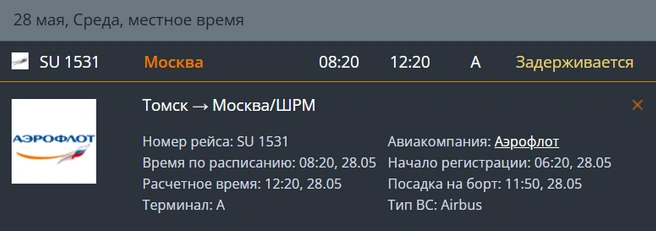 Покинуть Томск он должен был еще рано утром  | Источник: скрин / tomskairport.ru