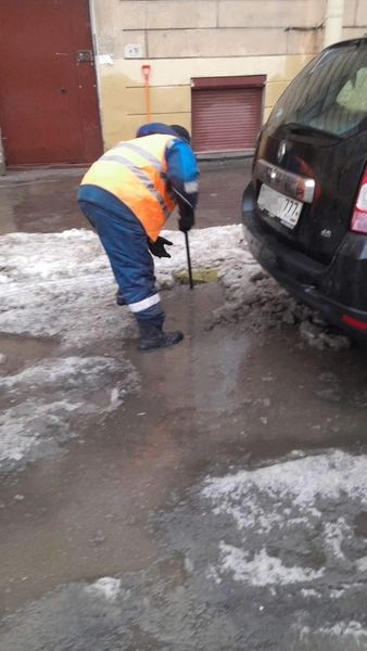 Источник: Комитет по благоустройству Петербурга