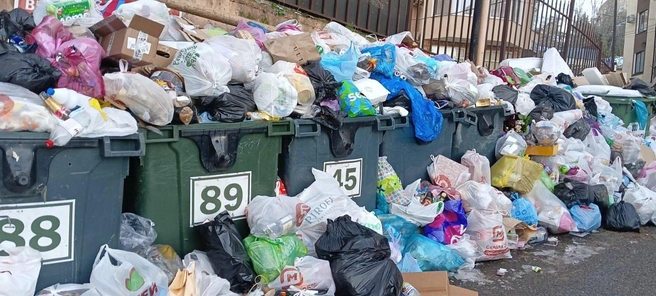 Мусорка на Виноградной  | Источник: ytoml_sochi / T.me