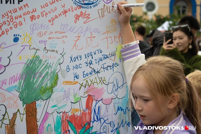 Источник: Елена Буйвол / VLADIVOSTOK1.RU
