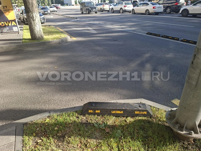 Источник: Алёна Воропаева / Voronezh1.ru