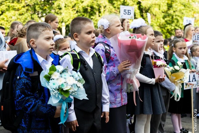 Источник: st.cherinfo.ru