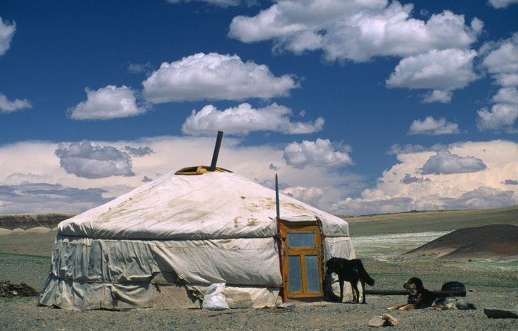Пьют чай с пельменями и не снимают шапки: 11 странностей монголов, о которых стоит знать путешественникам