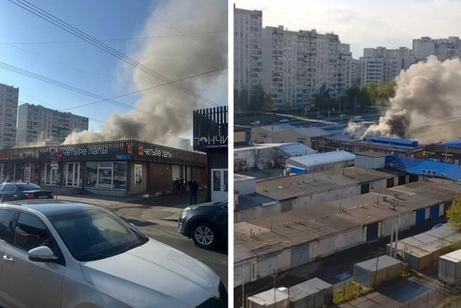 Пожар произошел в подмосковном поселке Андреевка возле Зеленограда (территория Москвы) | Источник: Zelenograd.ru — Новости Зеленограда / T.me