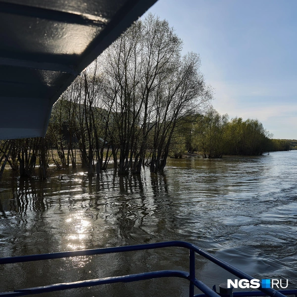 На маршруте ходит теплоход «Прокопьевск» | Источник: Александр Ощепков / NGS.RU