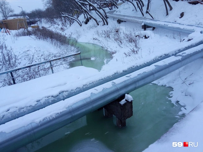 Вода в реке стала зеленой | Источник: читатель 59.RU